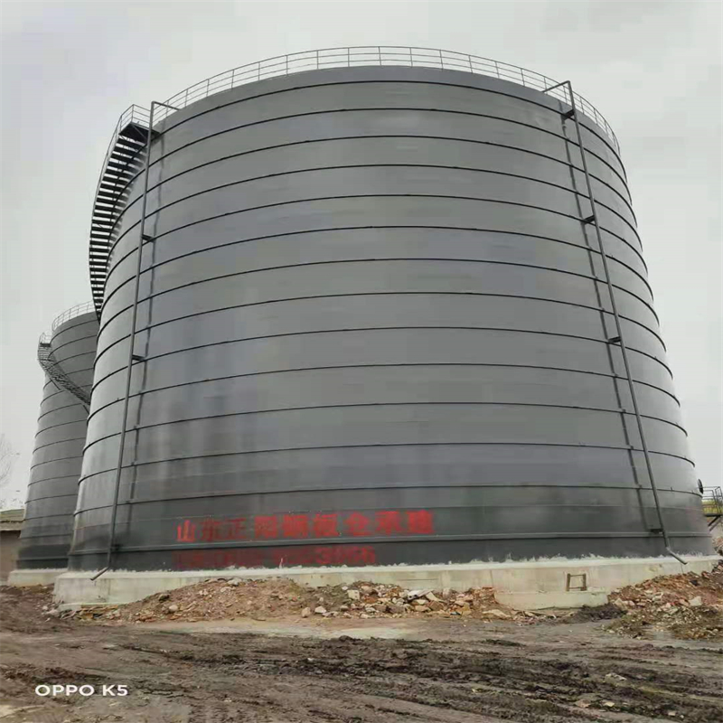 谢通门3万吨大型钢板库